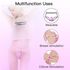 Women`s Dildo Butterfly Vibrator Sex Toys for Women